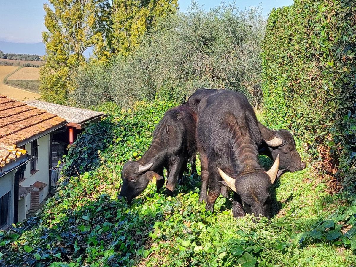 Romitorio Di Castiglione Del Lago Zewnętrze zdjęcie