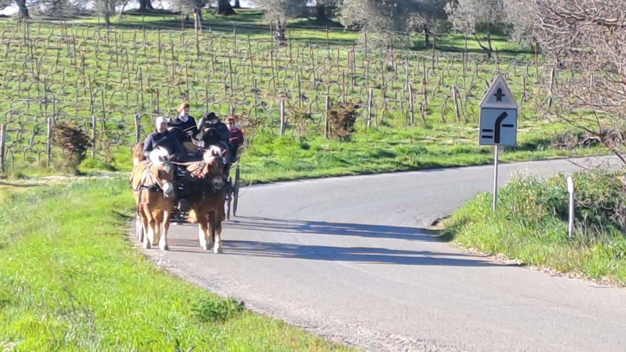 Romitorio Di Castiglione Del Lago Zewnętrze zdjęcie