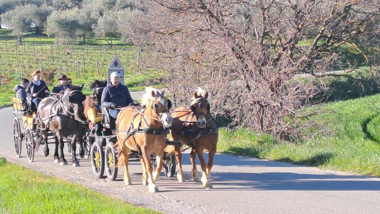 Romitorio Di Castiglione Del Lago Zewnętrze zdjęcie
