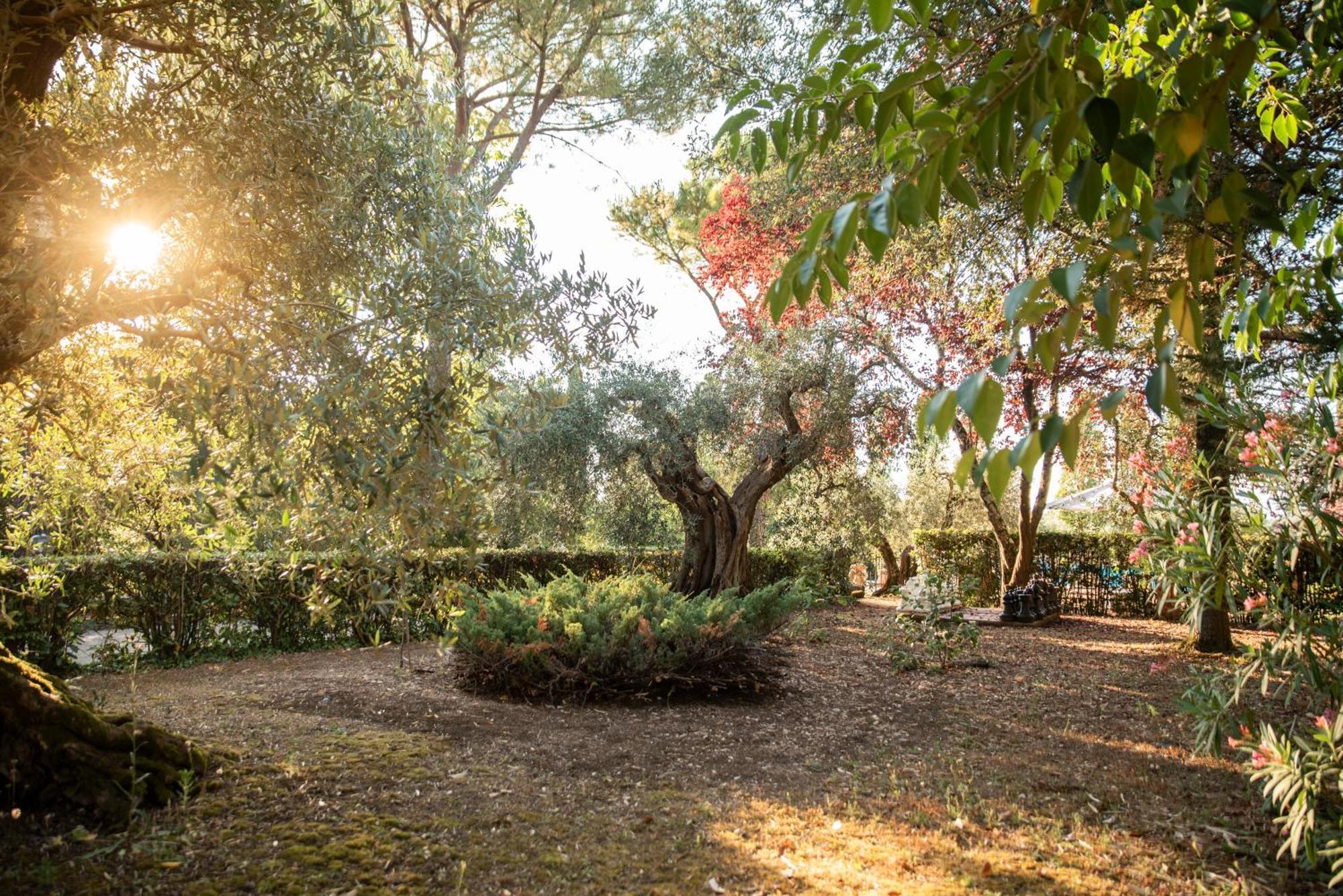 Romitorio Di Castiglione Del Lago Zewnętrze zdjęcie