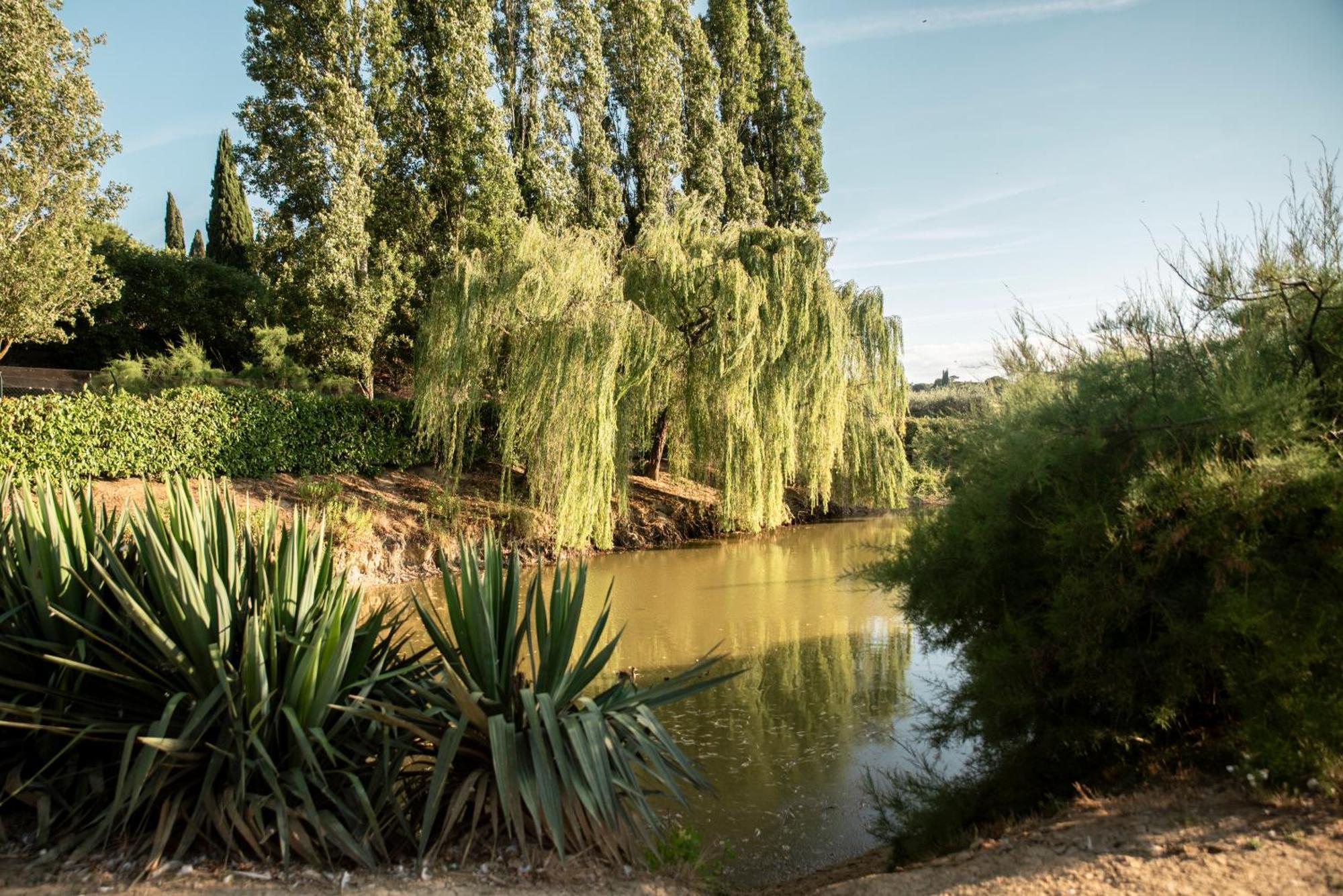 Romitorio Di Castiglione Del Lago Zewnętrze zdjęcie