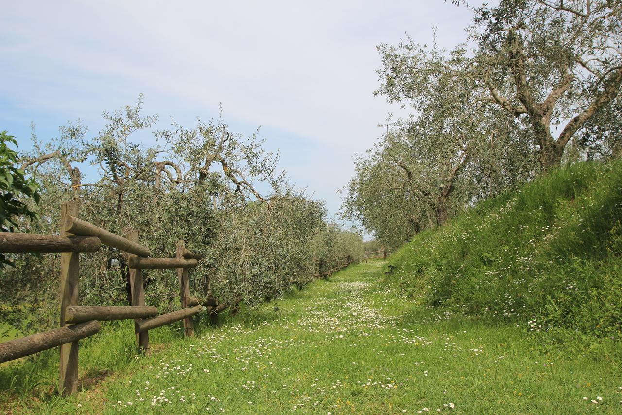 Romitorio Di Castiglione Del Lago Zewnętrze zdjęcie